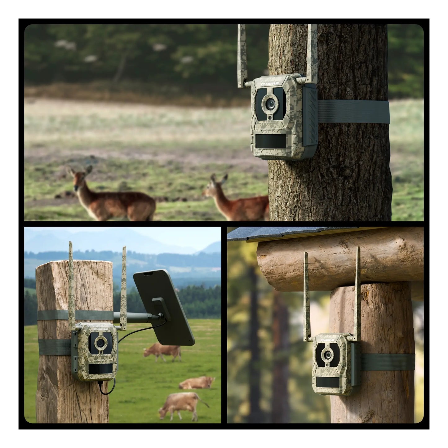 Reolink | 4K 4G Cellular Trail Camera with Live Streaming | Talon Series S130
