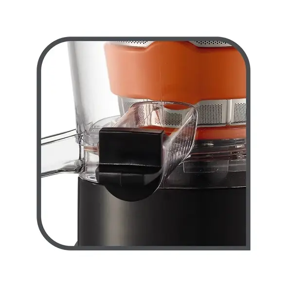TEFAL | Slow Juicer | ZC255B38 | 200 W | 82 RPM | Silver/ black