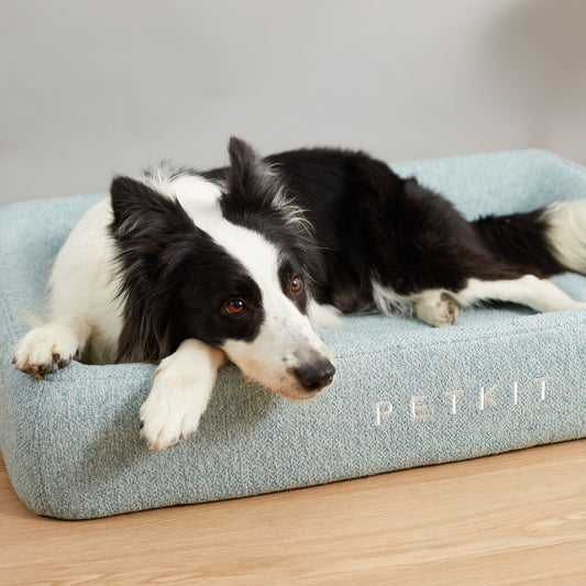 PETKIT | Deep Sleep All Season Pet Bed L | Green