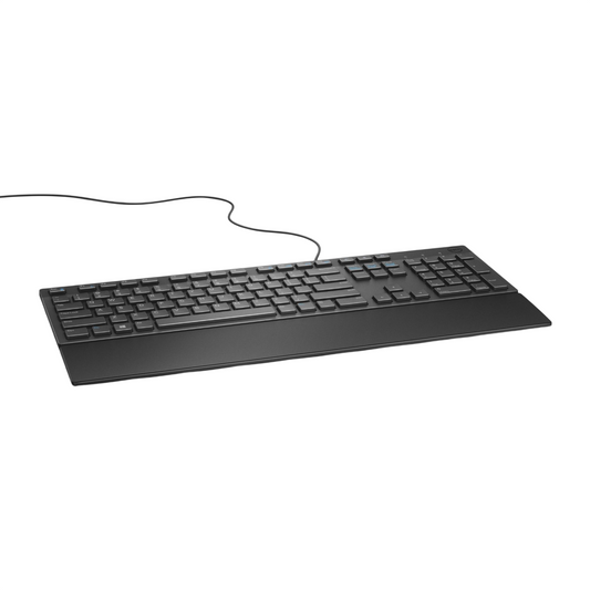 Dell | KB216 | Standard | Wired | Black
