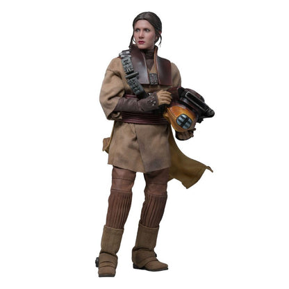 Star Wars Episode VI Movie Masterpiece Action Figure 1/6 Leia Organa (Boushh Disguise) 27 cm