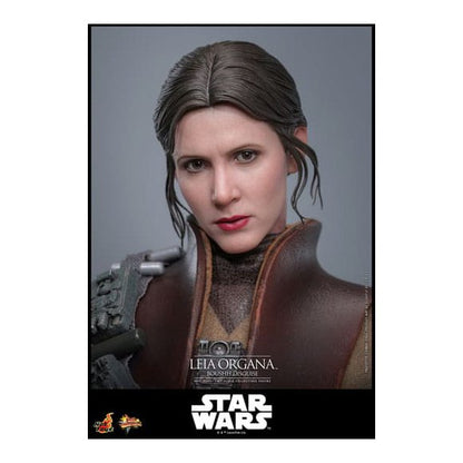 Star Wars Episode VI Movie Masterpiece Action Figure 1/6 Leia Organa (Boushh Disguise) 27 cm