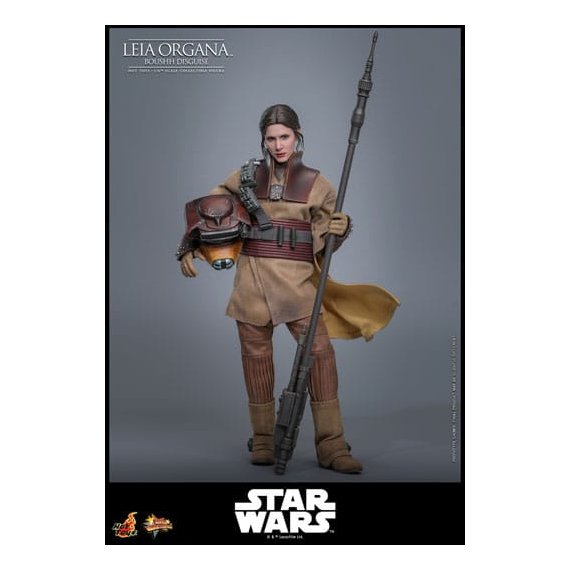 Star Wars Episode VI Movie Masterpiece Action Figure 1/6 Leia Organa (Boushh Disguise) 27 cm