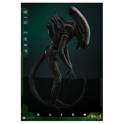 Alien Movie Masterpiece Action Figure 1/6 Big Chap 36 cm