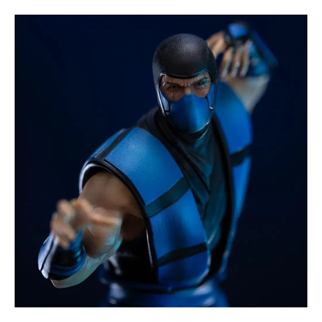 Mortal Kombat Art Scale Statue 1/10 Sub-Zero (Ninjas Collection) heo Exclusive 21 cm