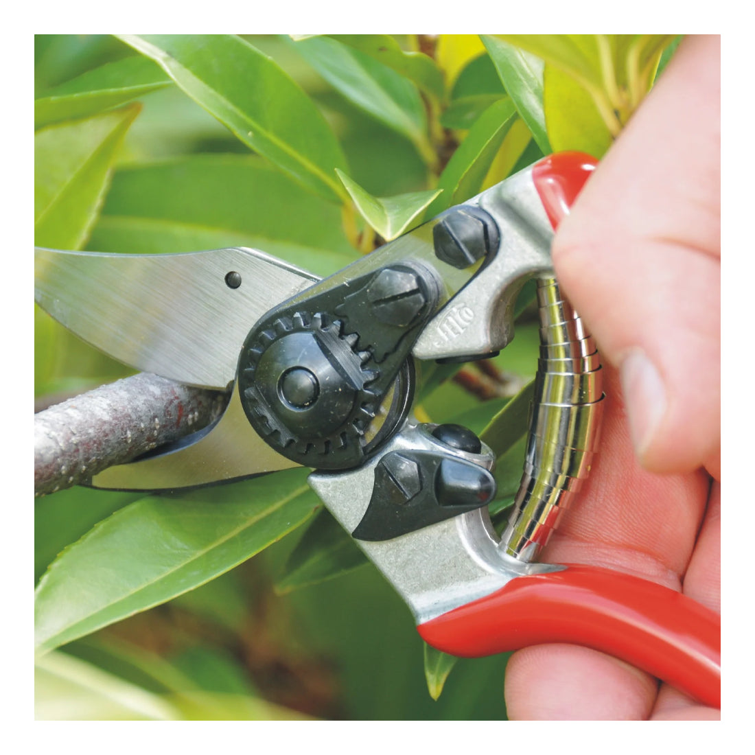 Felco 6 | One-Hand Pruning Shear | 19.5 cm