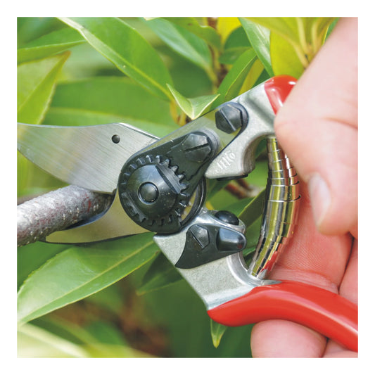 Felco 6 | One-Hand Pruning Shear | 19.5 cm