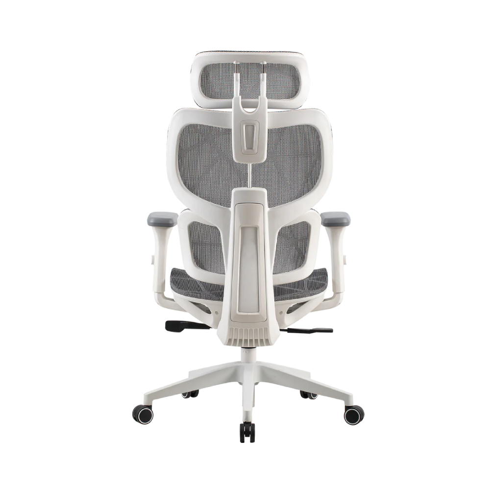 ONEX Ventra Premium | Gaming Chair | Color