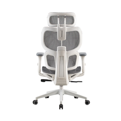 ONEX Ventra Premium | Gaming Chair | Color