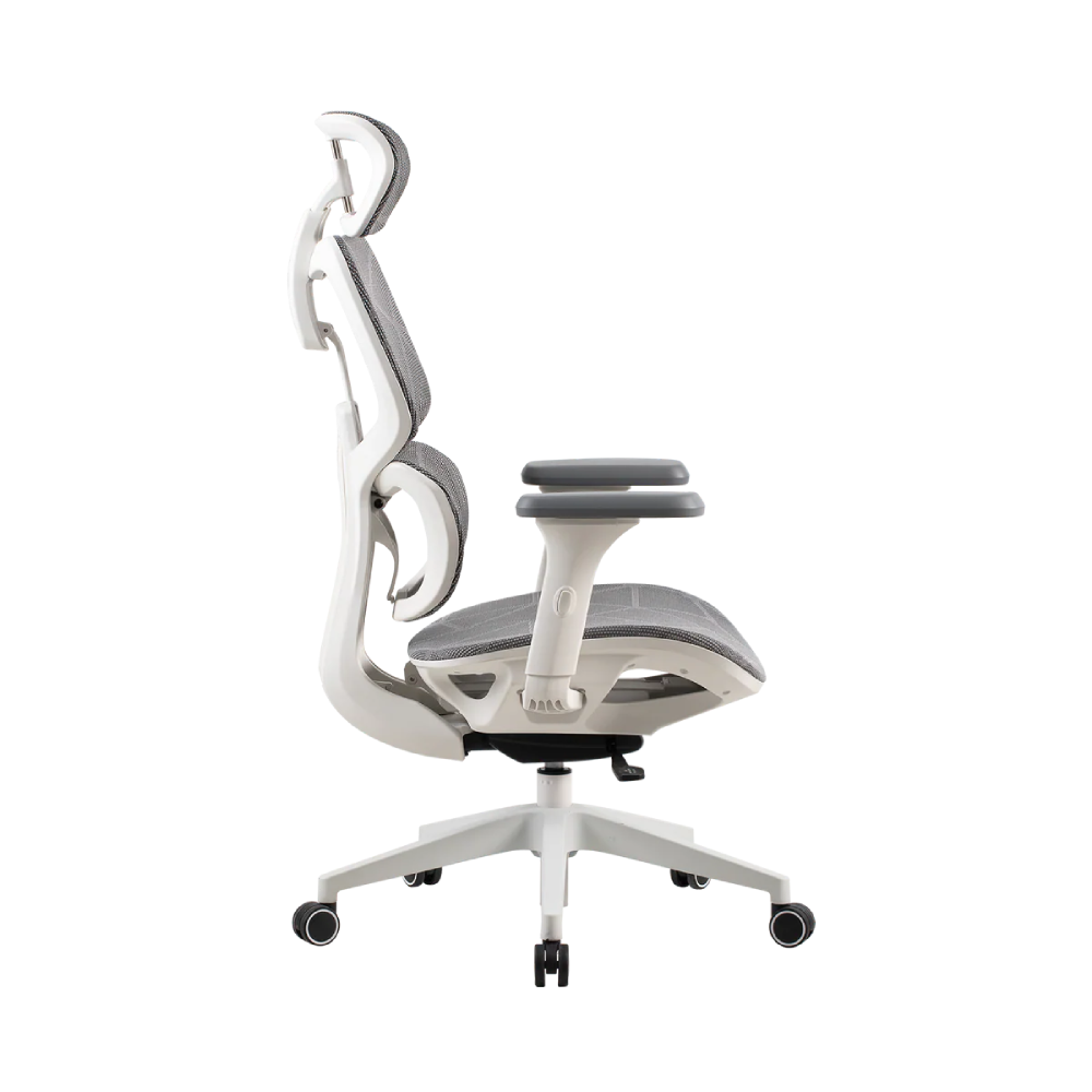 ONEX Ventra Premium | Gaming Chair | Color