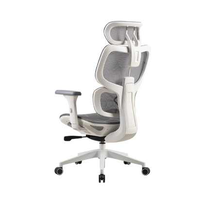 ONEX Ventra Premium | Gaming Chair | Color