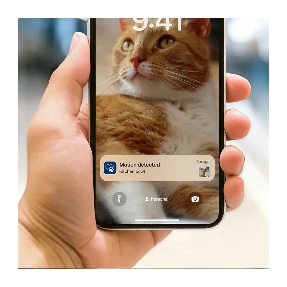 Philips | Smart Feeder with Camera | PAW5320/02 5000 Series