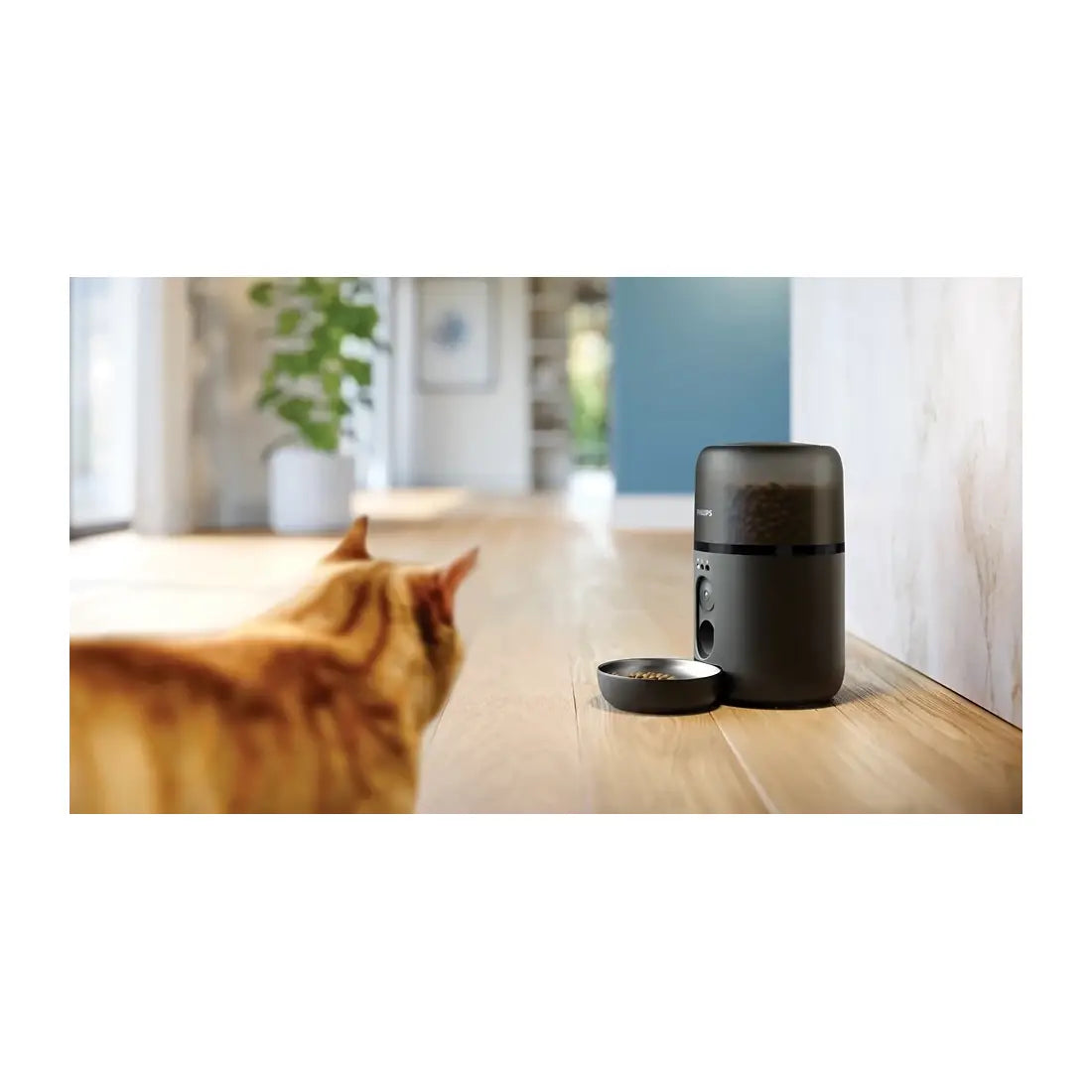 Philips | Smart Feeder with Camera | PAW5320/02 5000 Series