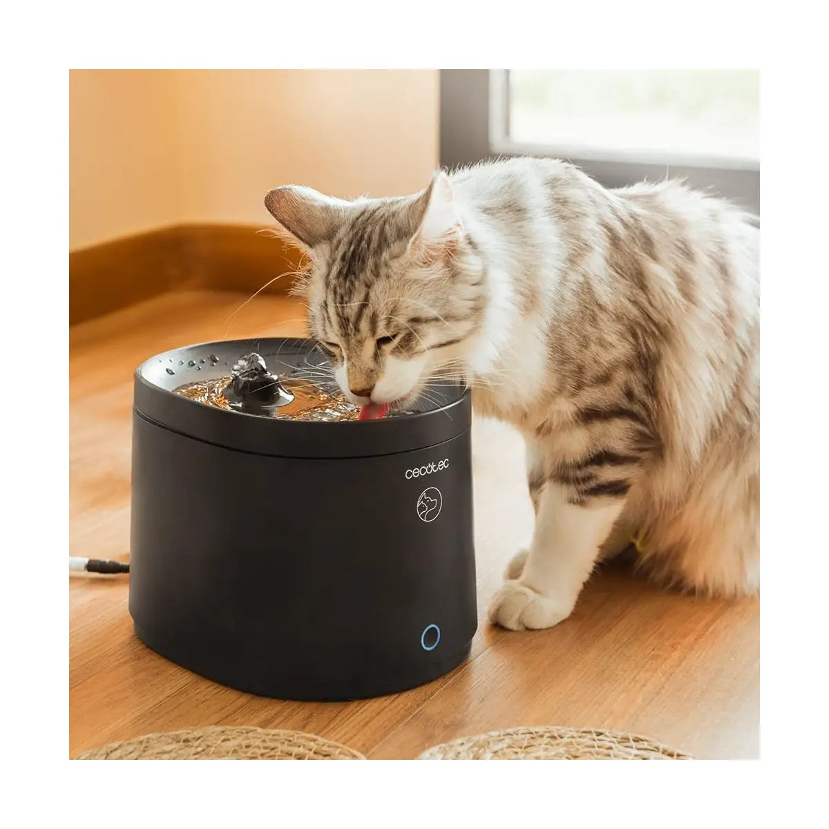 Cecotec | Smart Pet Fountain | Pumba 2500 Refresh | Capacity 2.5 L | Black
