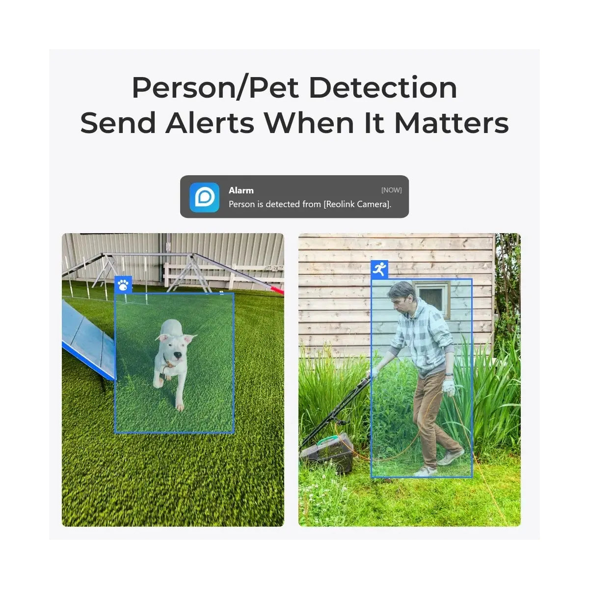 Reolink | E Series E330 | PTZ | 5 MP | 4mm/F1.6 | Micro SD, Max. 512 GB