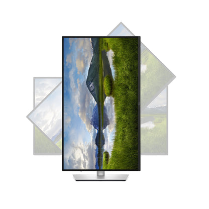 Dell | 210-BRDS | P2725QE | 27" | IPS | 4K | 100 Hz | USB-C 90W | RJ45 | Adjustable Stand