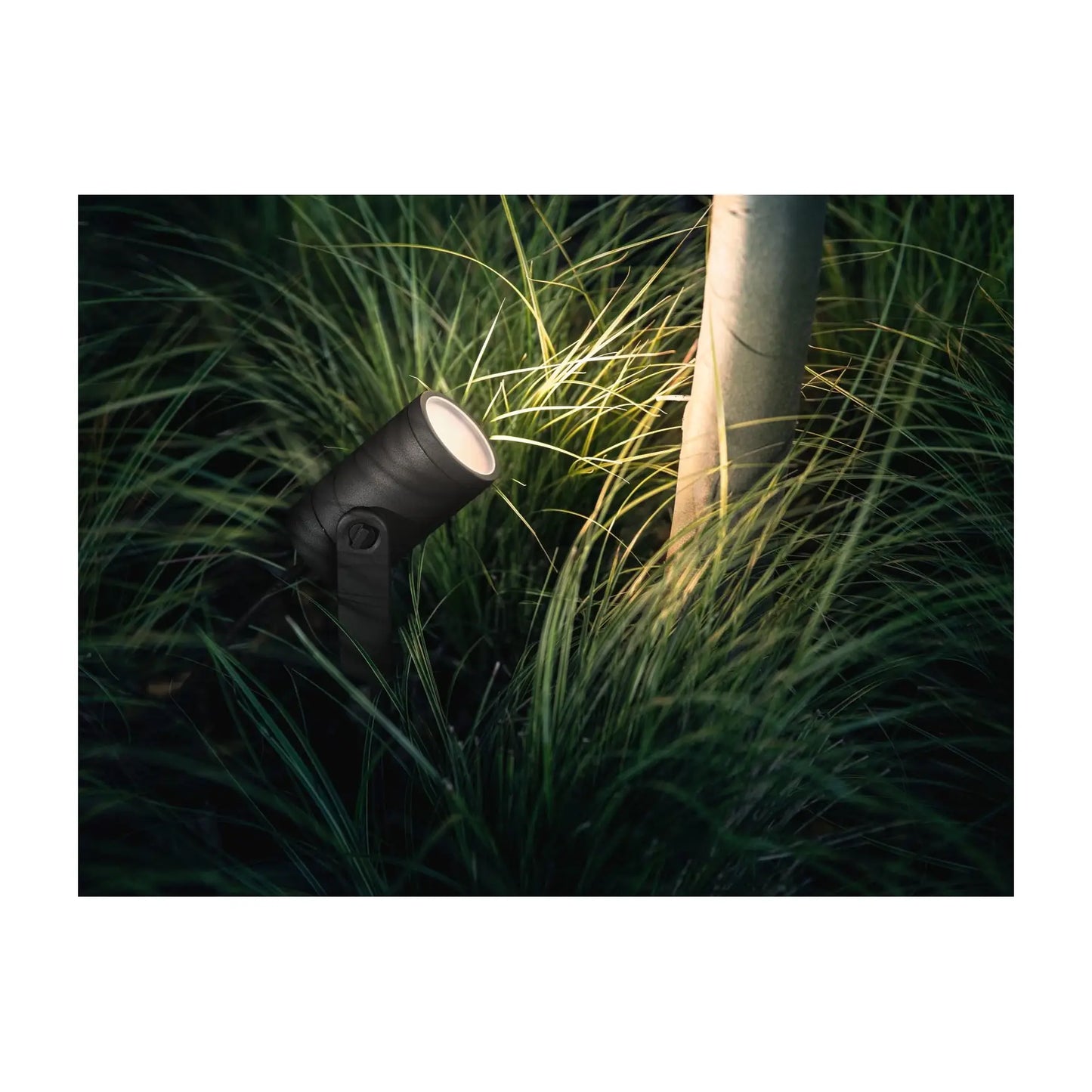 Philips Hue | WCA Lily Outdoor Spot Light Base 24V | 8 W | 2200-6500 BBL CCT range