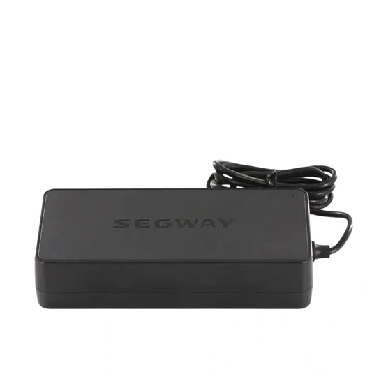Segway | 36V Kickscooter charger |  OEM quality
