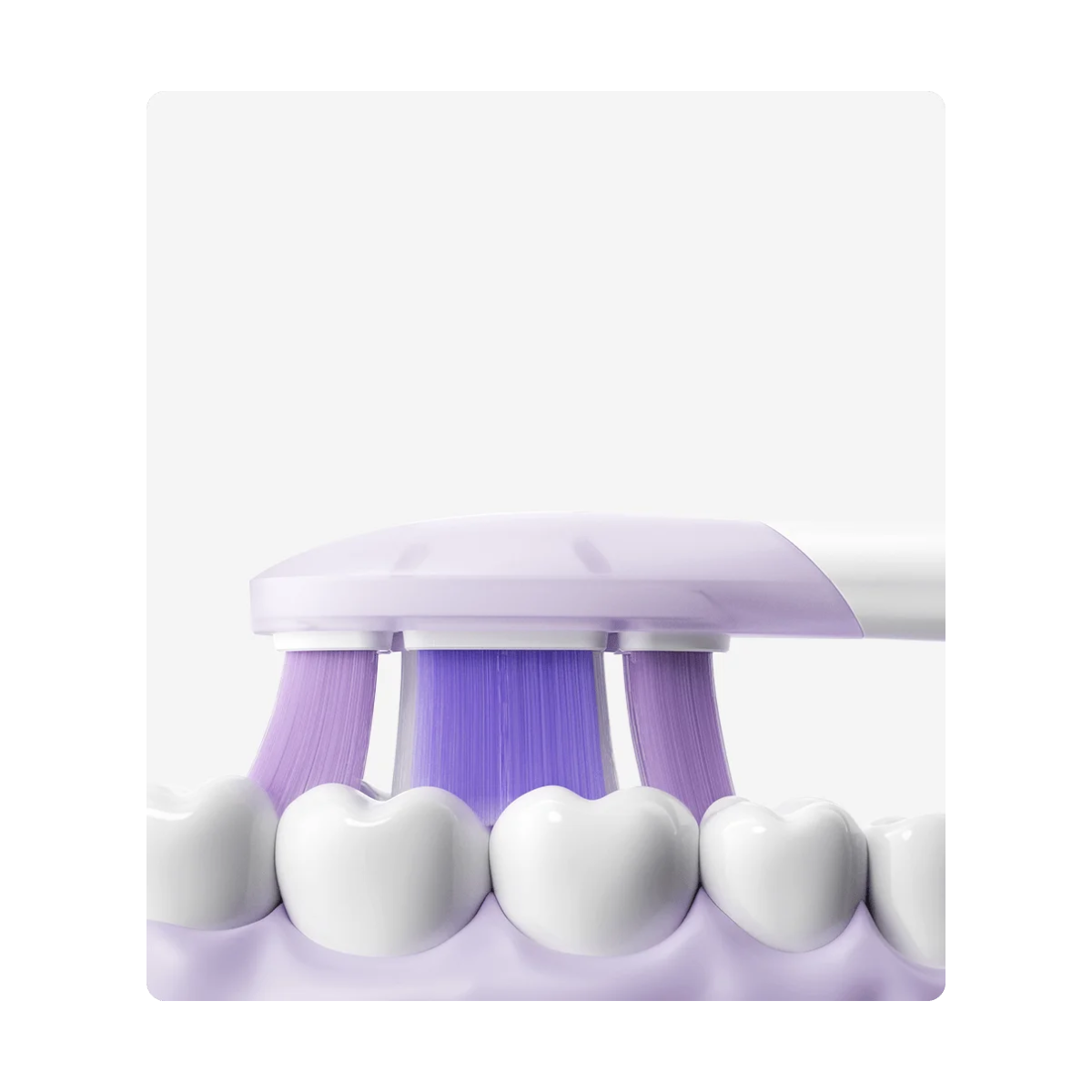Xiaomi | Toothbrush Heads | BHR07ZRTY | 3 pcs