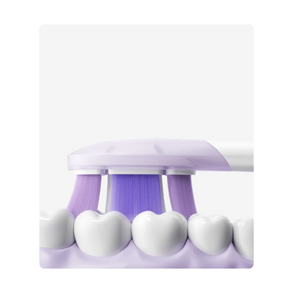 Xiaomi | Toothbrush Heads | BHR07ZRTY | 3 pcs