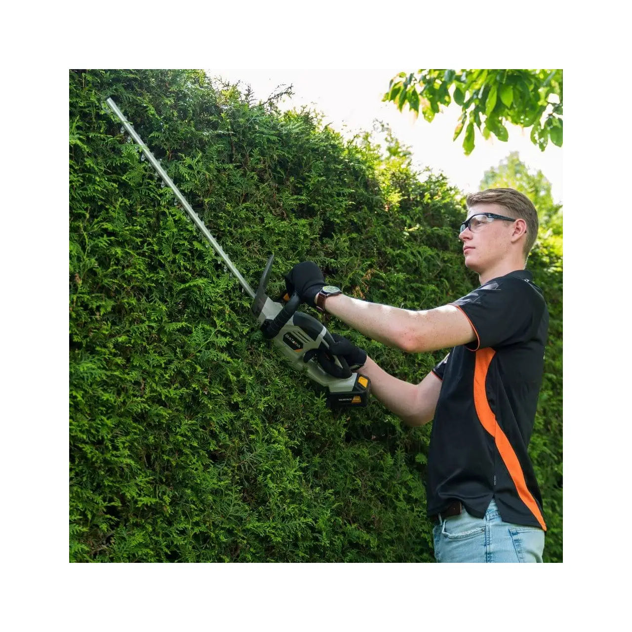 Batavia B.V. | 18V Cordless Hedge Trimmer 560mm | 7064547