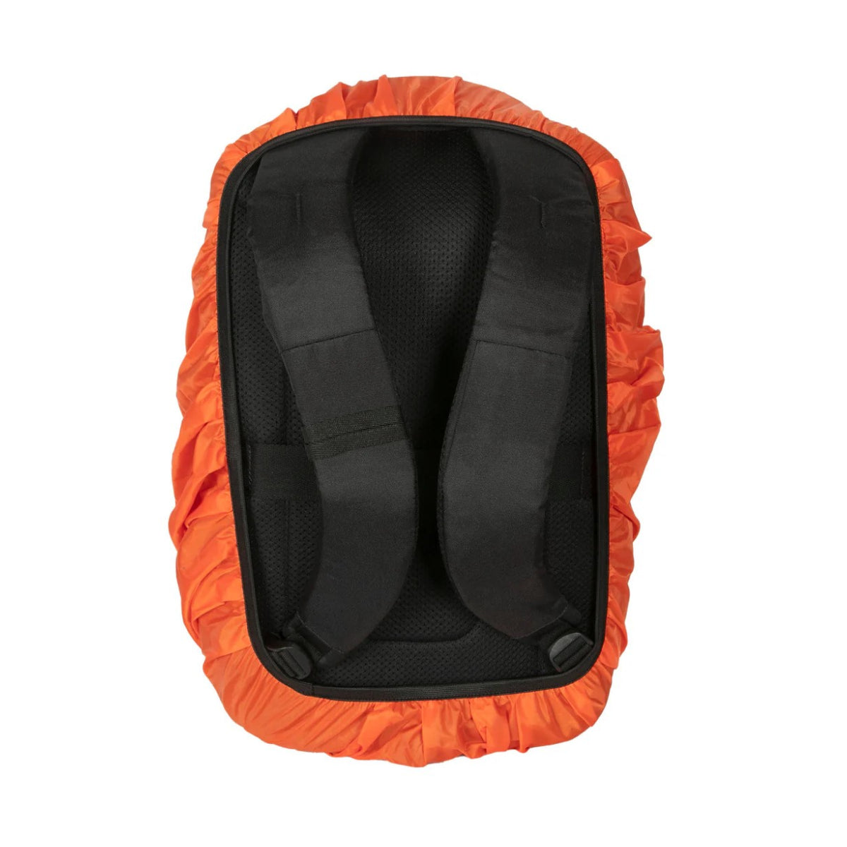 Targus | Terra EcoSmart® Backpack | TBB649GL | 15–16" | Black