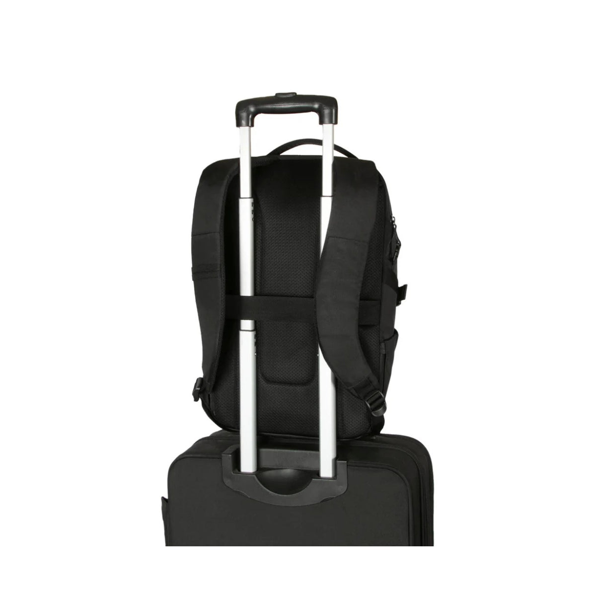 Targus | Terra EcoSmart® Backpack | TBB649GL | 15–16" | Black