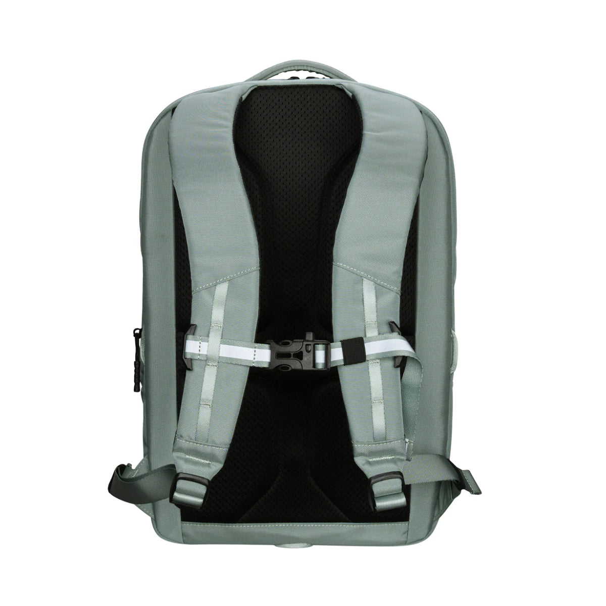Targus | Work+ Play Flex Backpack | TBB65905GL | Fits 15–16" Laptops | 15 L | Green