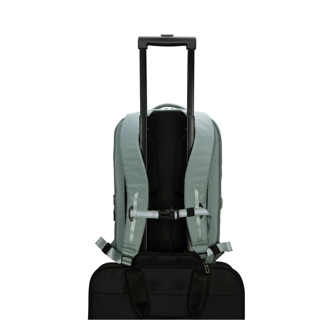 Targus | Work+ Play Flex Backpack | TBB65905GL | Fits 15–16" Laptops | 15 L | Green