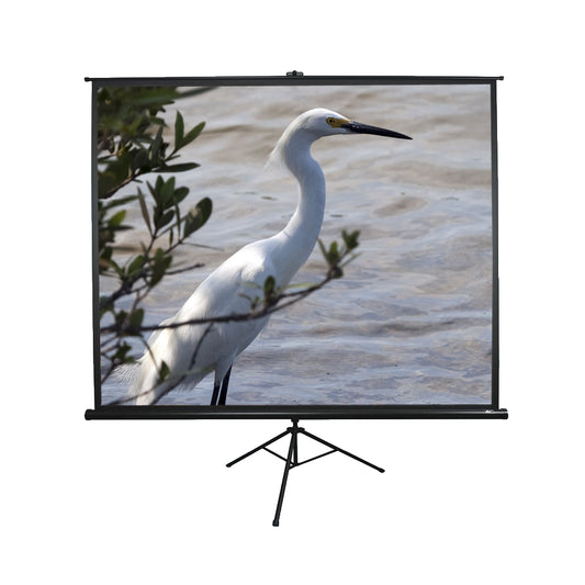 Elite Screens | Tripod-Serie | T100UWV1 | 100" | 4:3 | Stativ-Leinwand | MaxWhite® 2 | Schwarz
