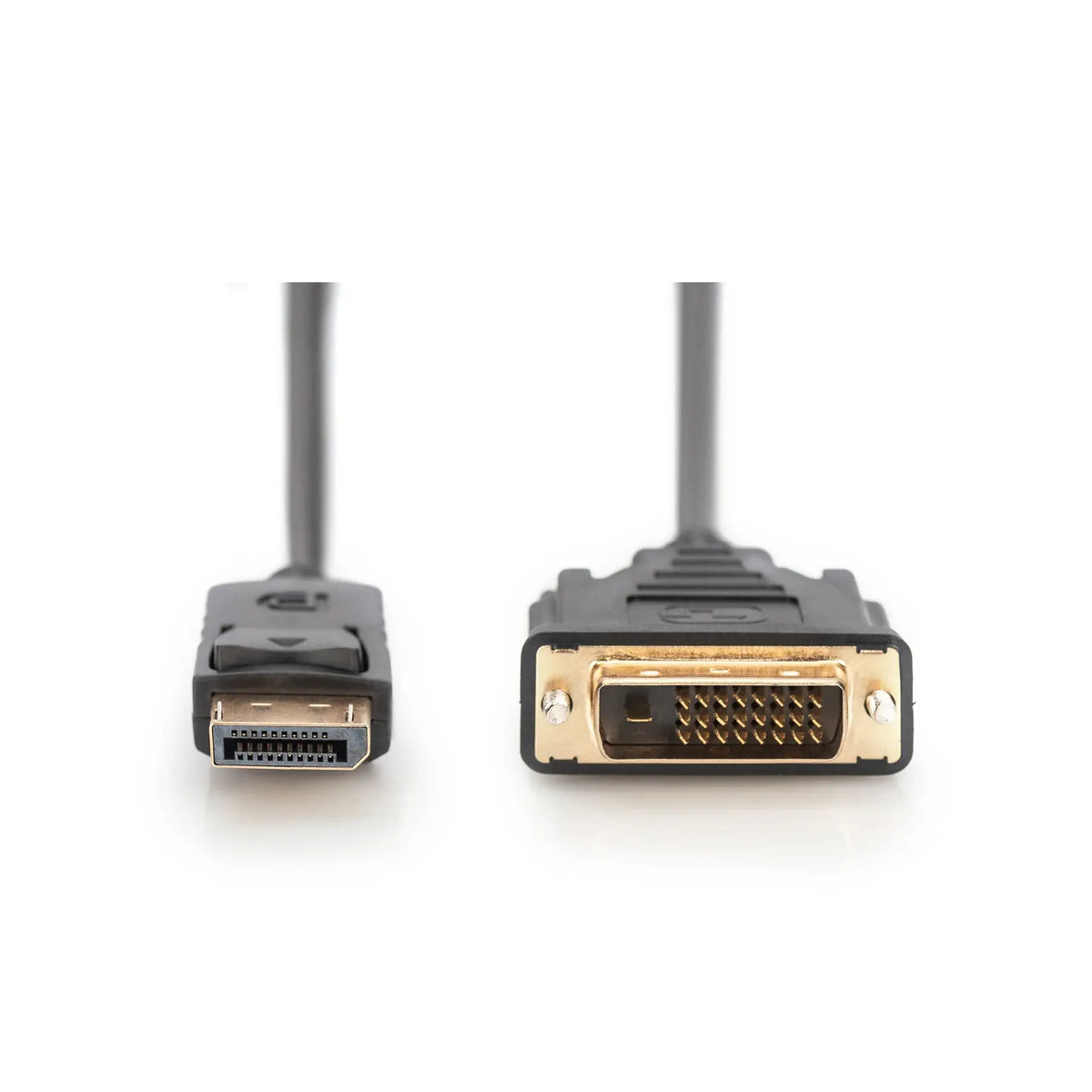 Digitus | 24+1 pin digital DVI | Male | 20 pin DisplayPort | Male | Black