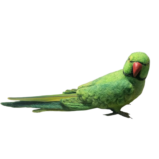 Felted sculpture of an Indian ring-necked parrot | Handmade