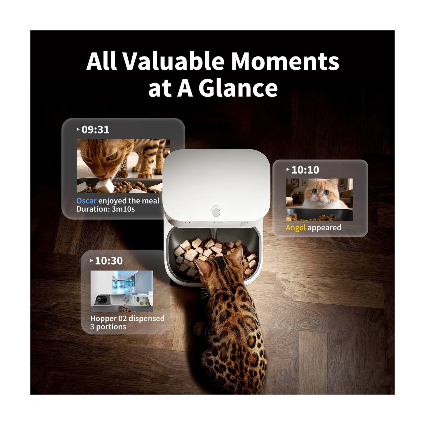 PETKIT YumShare Dual-hopper 2 Automatic Feeder with Camera | Capacity 5 L | White