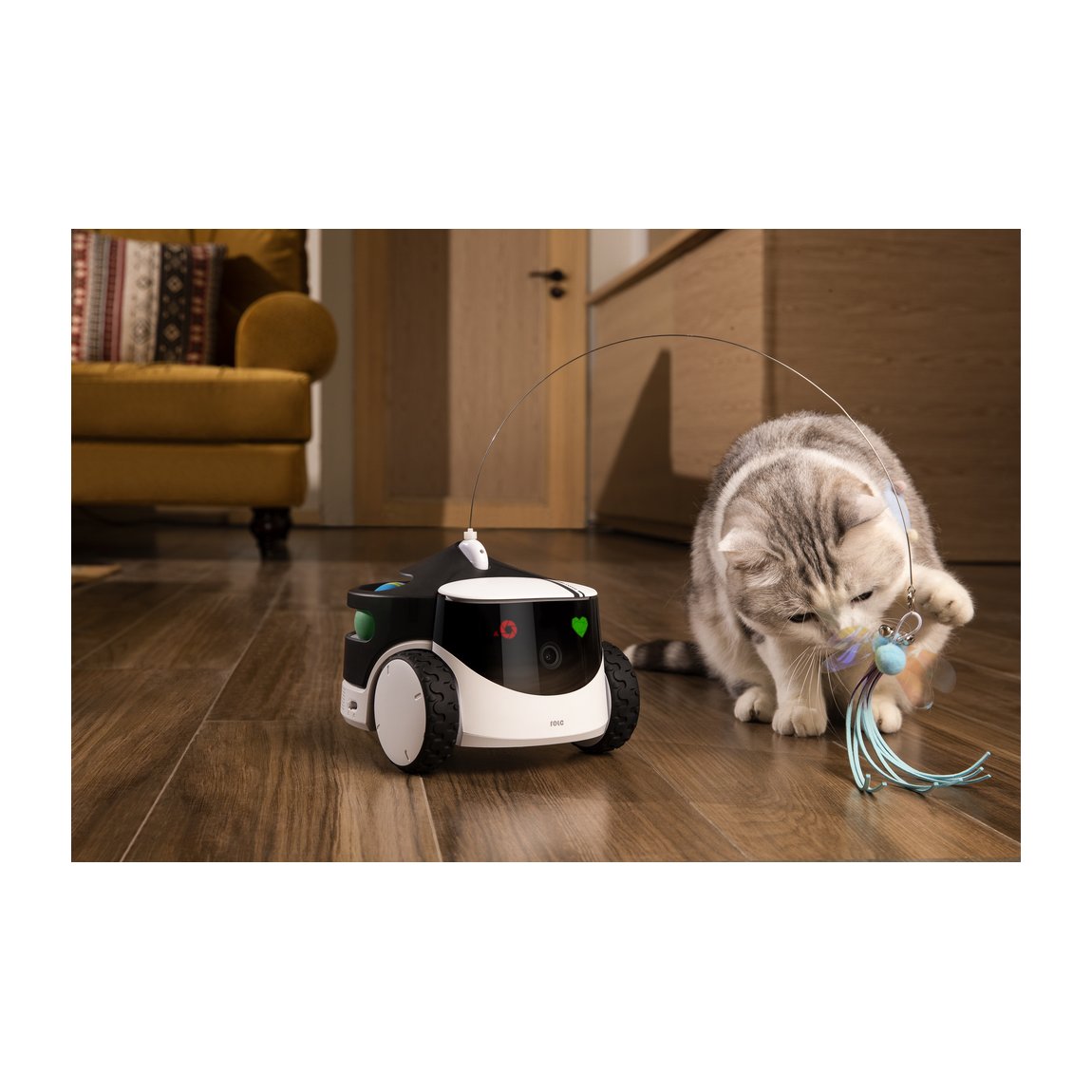 Enabot | Family Robot IP Camera | ROLA PetPal