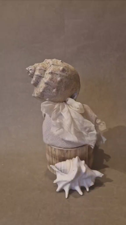 Unique Artistic Doll | Handmade | Sea Shell Doll